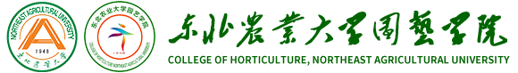 英国上市公司官网365